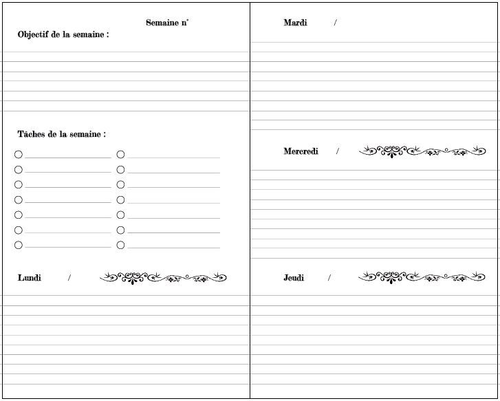 double page du Bullet Journal des guerriers pacifiques correspondant aux objectifs et tâches de la semaine et aux premiers jours de la semaine