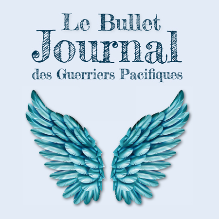 photographie de la couverture du Bullet Journal des Guerriers Pacifiques